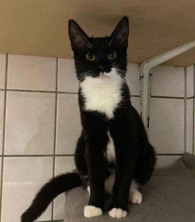 Finchen und Ferdinand (Vermittlung im Doppelpack)