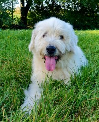 Kalle R.i.P 04.10.24