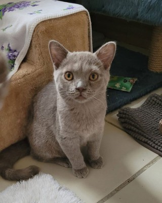 Antonio nur mit Minik