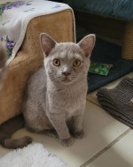 Antonio nur mit Minik