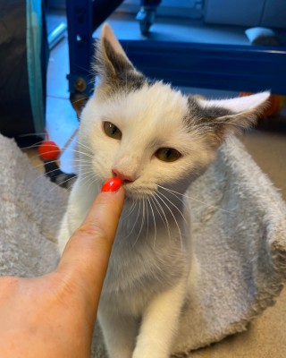 Max