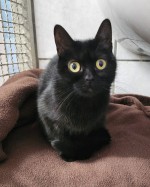 Mila (nur mit Bebe)