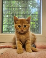 Norbert (nur mit Nouri)