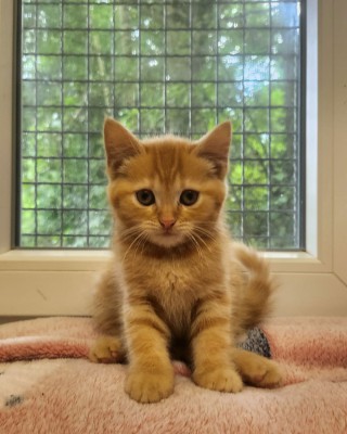 Norbert (nur mit Nouri)