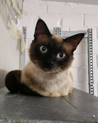 Pascha (nur mit Olli)