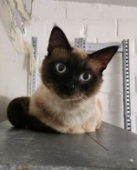 Pascha (nur mit Olli)