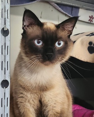 Pascha (nur mit Olli)