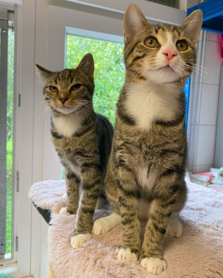 Wilma (nur mit Willy)
