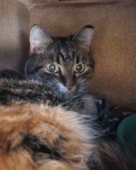 Wilma