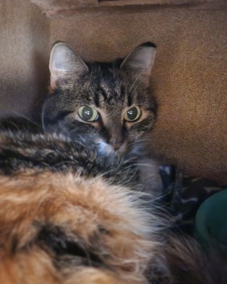 Wilma