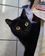 Bebe (nur mit Mila)