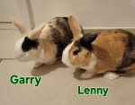 Garry und Lenny