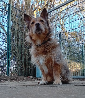 Zarina