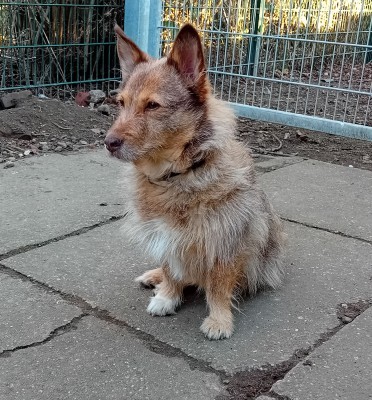 Zarina