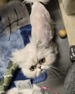Alaska (nur mit Axel und Maruscha)