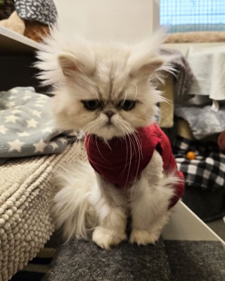 Alaska (nur mit Axel und Maruscha)
