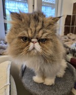 Axel (nur mit Maruscha und Alaska)