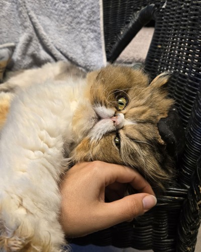 Axel (nur mit Maruscha und Alaska)
