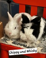 Chippy & Whisky