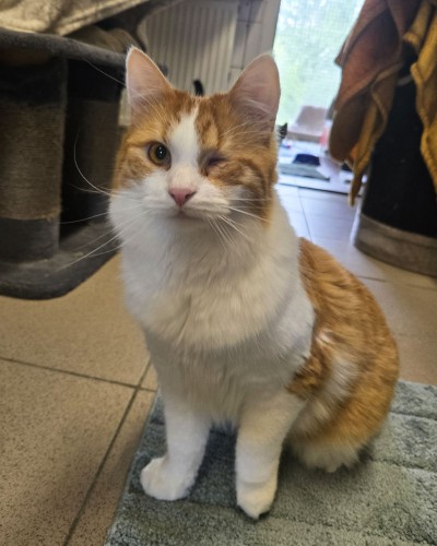 Eddy (nur mit Dully)