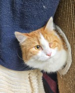 Eddy (nur mit Dully)