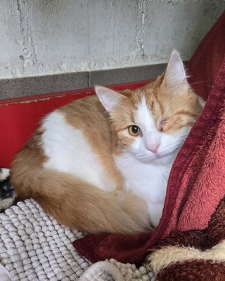 Eddy (nur mit Dully)