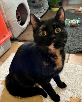 Edwina