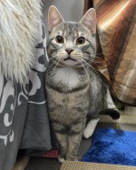 Fred (nur mit Paco)