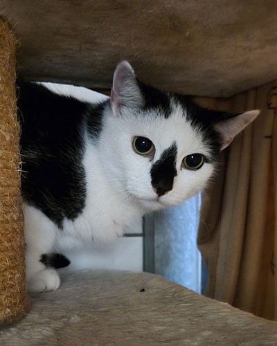 Ginny (nur mit Blacky)