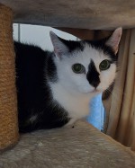 Ginny (nur mit Blacky)