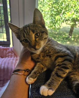 Juana (nur mit Ozzy)
