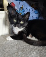 Krümel