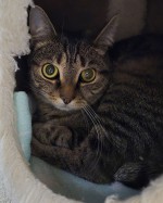 Lotti (nur mit Paula)