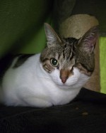 Lucy (nur mit Lilly)