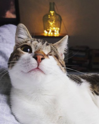 Lucy (nur mit Lilly)