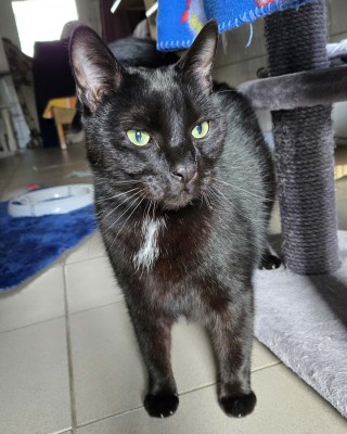 Max