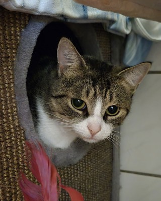 Mika (nur mit Salem)