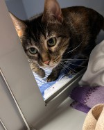 Mimi 