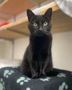 Moon (nur mit Maya) Moon (nur mit Maya)