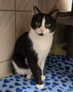 Paula (nur mit Lotti)