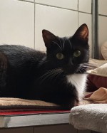 Sophia (nur mit Balduin)