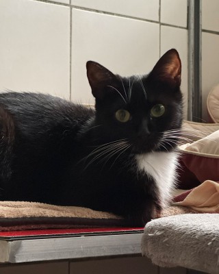 Sophia (nur mit Balduin)