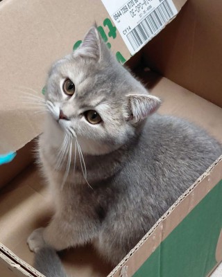 Benny (nur mit Babs und Ben)