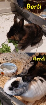 Berti und Gerdi