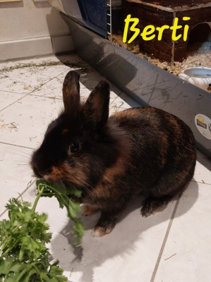 Berti und Gerdi