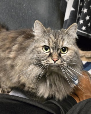 Cooky (nur mit Coco) reserviert!