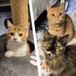 Dunya, Dilek und Deniz