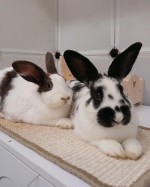 Fee und Earny Fee und Earny