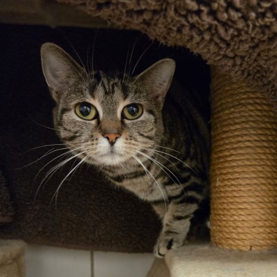 Lana (nur mit Bella)