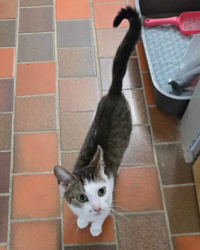 Lilli (nur mit Mia)